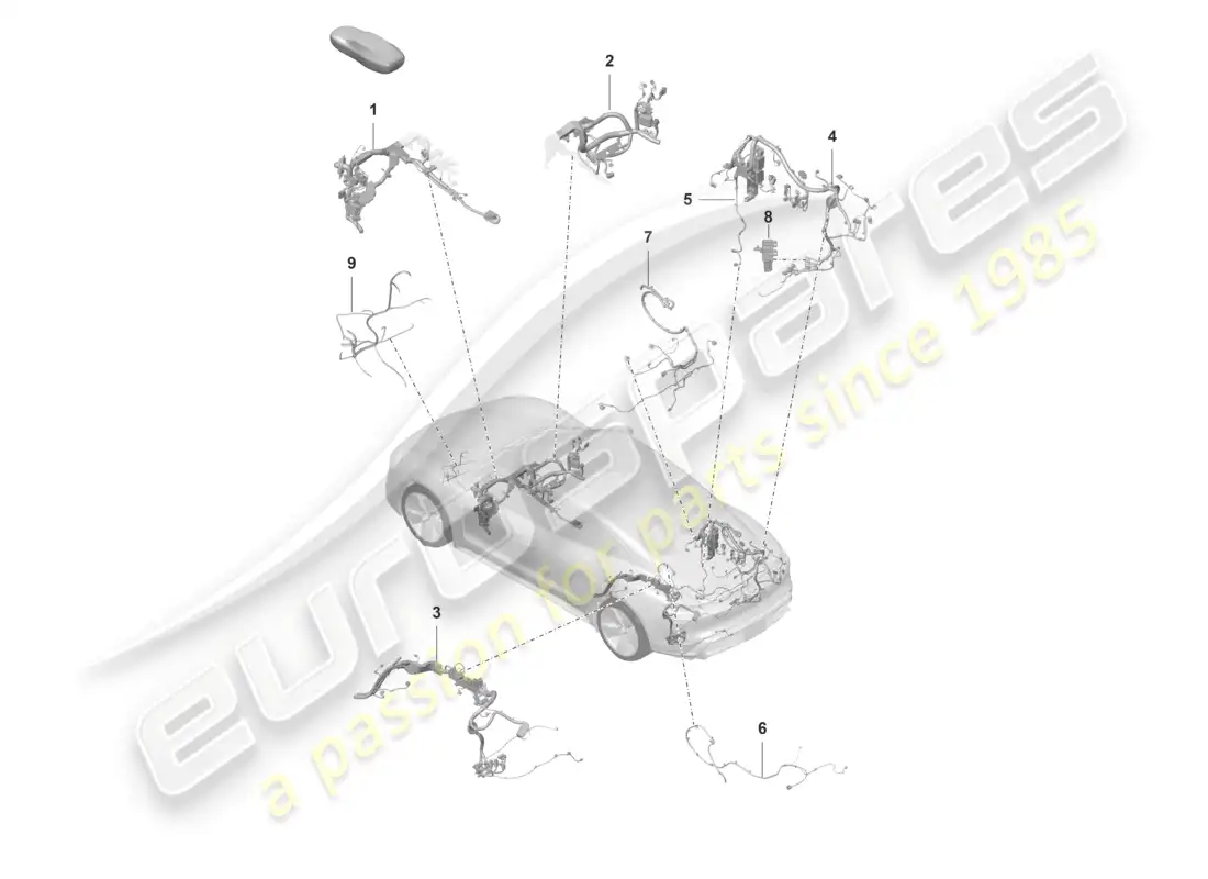 porsche 2021 (taycan 9j1-1) sección parcial del arnés de cableado para el sistema de control de presión de los neumáticos del portón trasero del habitáculo sensor de temperatura del circuito de refrigerante diagrama de piezas