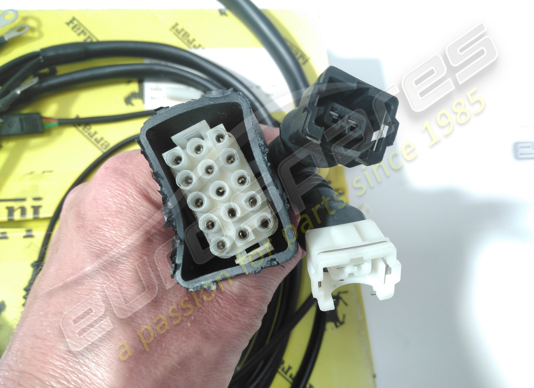 nuevos (otros) ferrari cables del motor. número de parte 123670 (3)