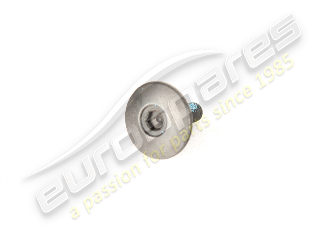 nuevo tornillo ferrari. número de parte 256490 (1)