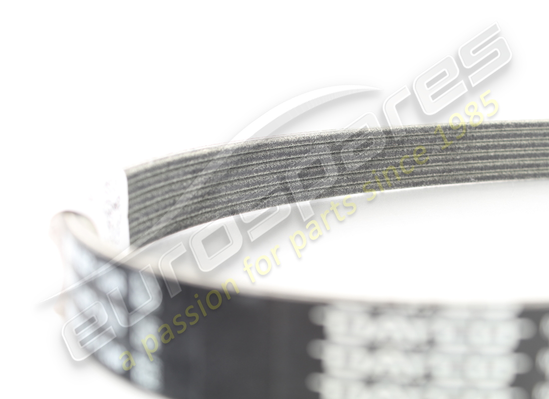 correa nueva ferrari para alternador y motor de arranque. número de pieza 201447 (3)