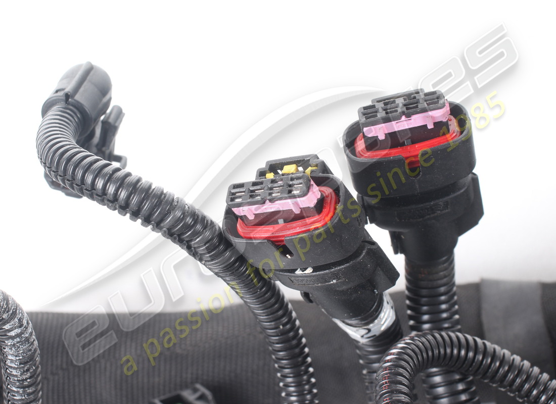 usado ferrari arnés de cableado de inyección. número de pieza 314807 (2)