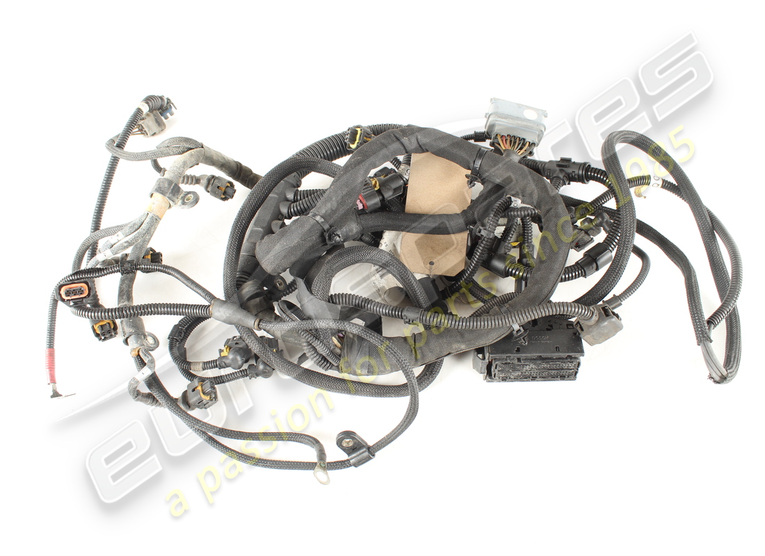 USADO Ferrari CABLEADO DE INYECCIÓN IZQUIERDO. NÚMERO DE PIEZA 264376 (1)