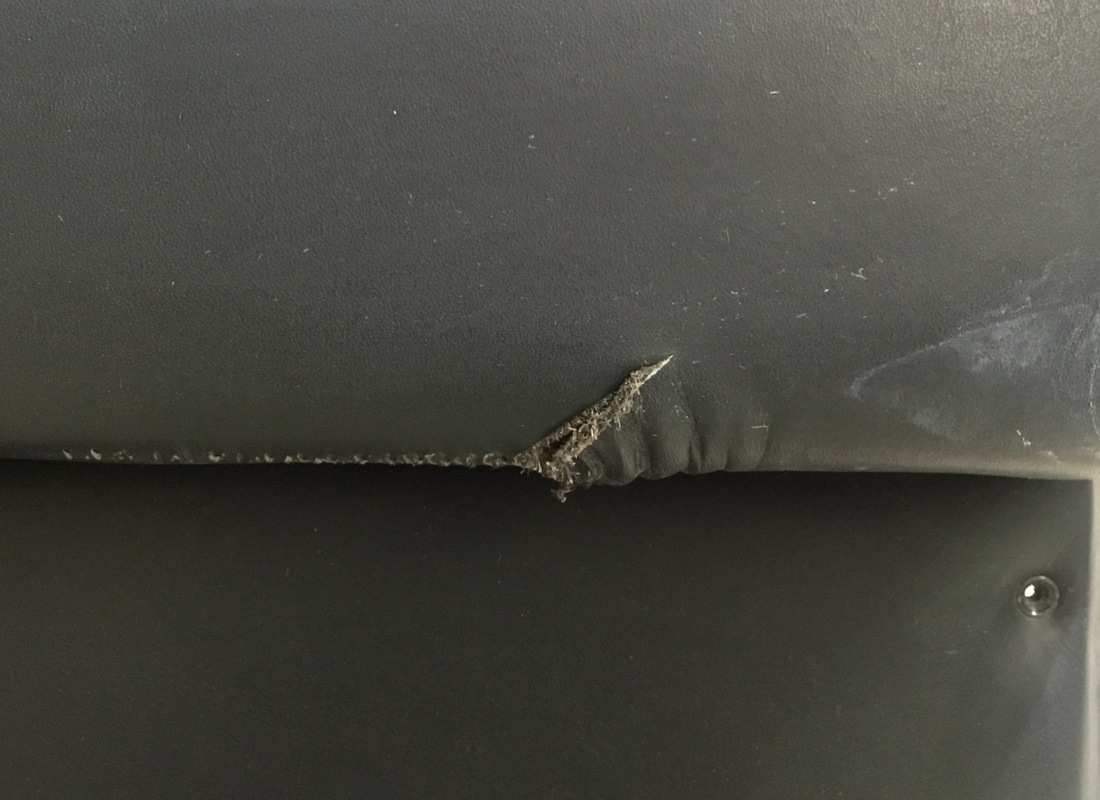 panel de puerta derecho eurospares usado. número de parte eap1380710 (4)