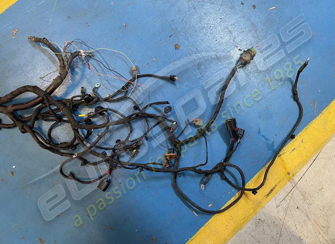 cable del cuerpo ferrari dañado. número de parte 793877 (3)