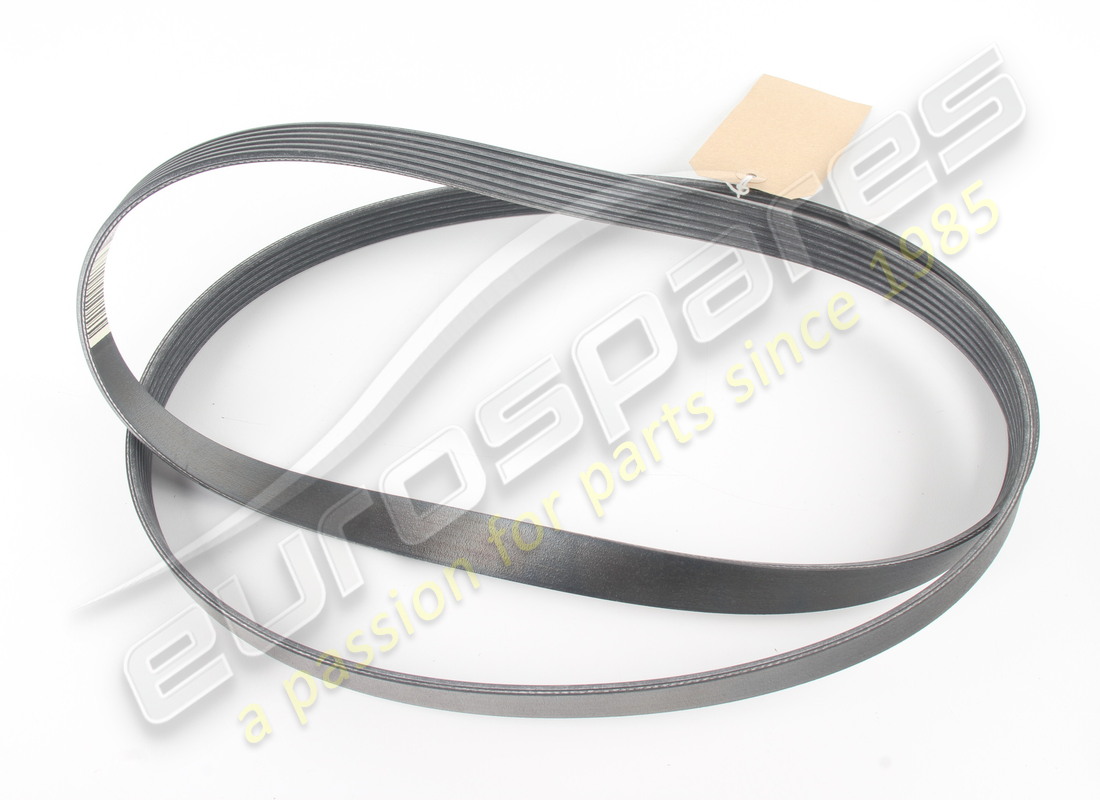 nuevas costillas de ferrari cinghia tipo pv-k6. número de parte 919627 (1)
