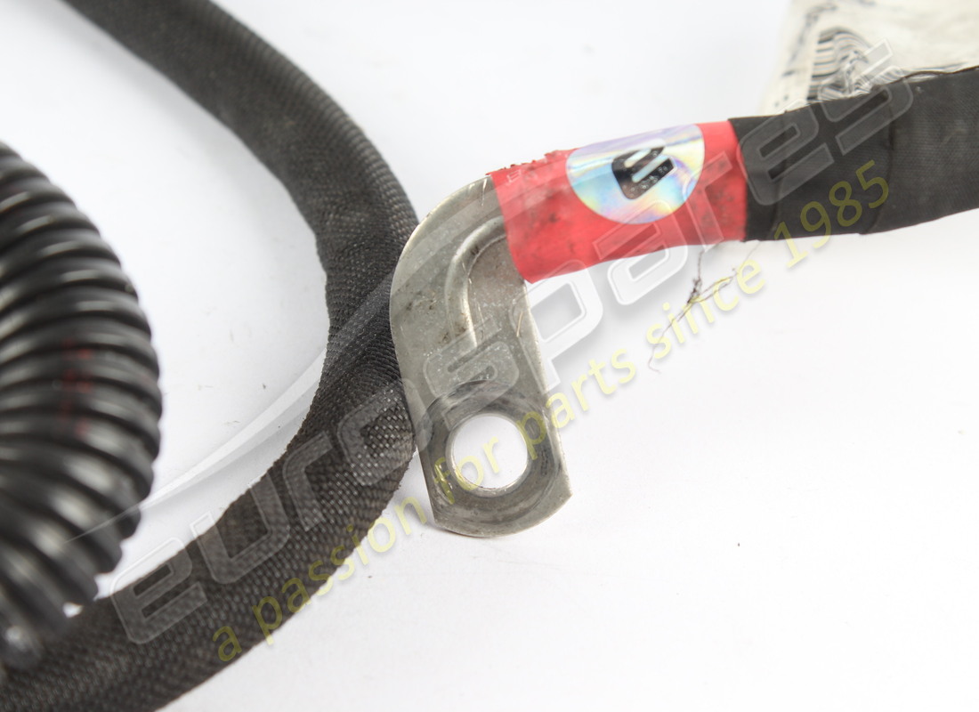 cable de servicios del motor ferrari usado. número de parte 769019 (2)