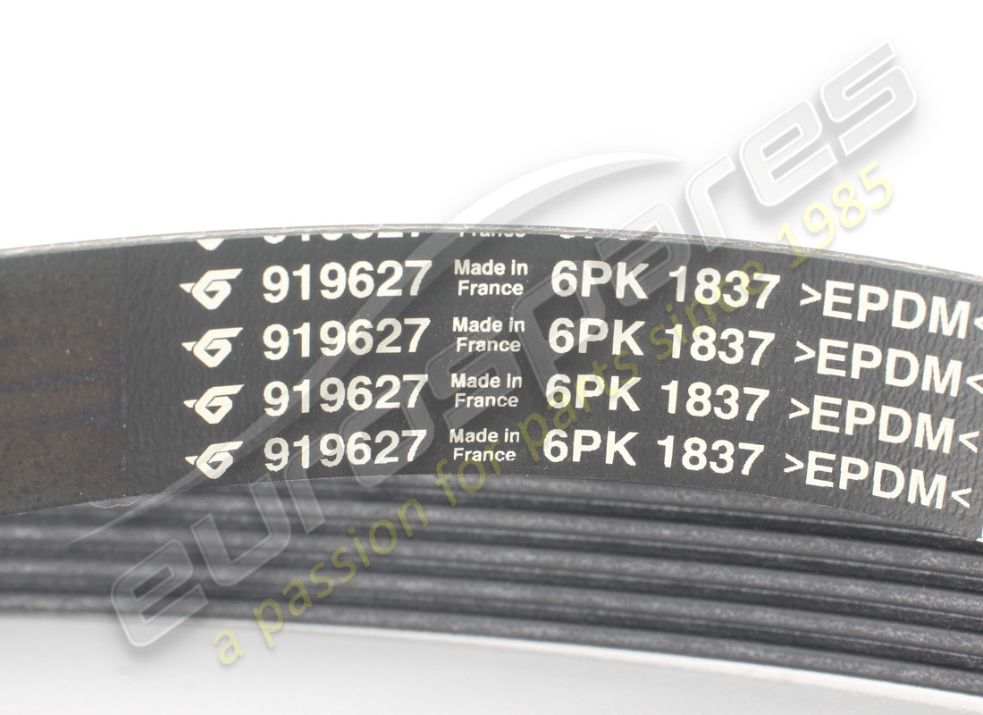 nuevas costillas de ferrari cinghia tipo pv-k6. número de parte 919627 (2)