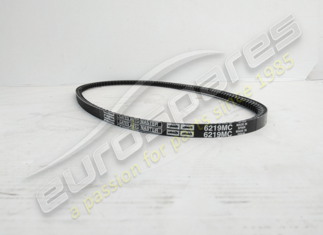 nuevo cinturón eurospares. número de parte 125557 (2)