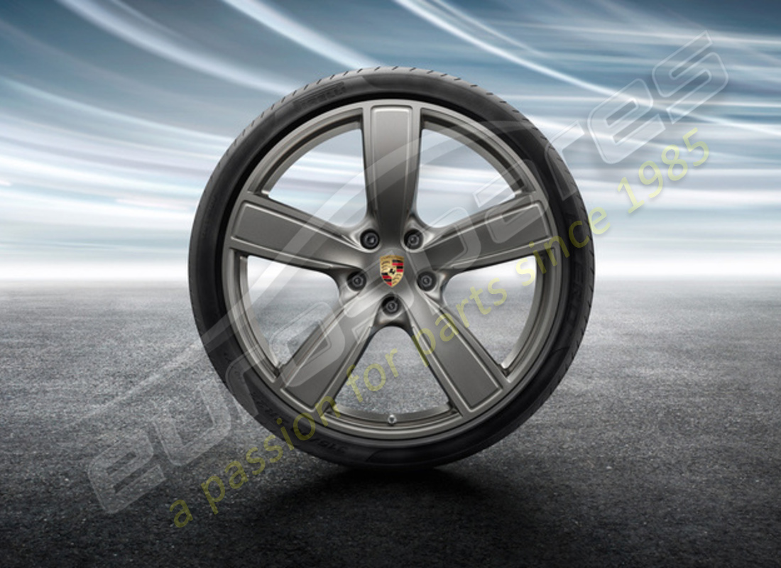 nuevo juego de ruedas y neumáticos de verano sport classic de porsche 22 pulgadas - pintados en platino (satinado brillante). número de pieza 9y0044661q (1)