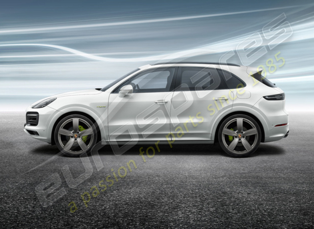 nuevo juego de ruedas y neumáticos de verano sport classic de porsche 22 pulgadas - pintados en platino (satinado brillante). número de pieza 9y0044661q (2)