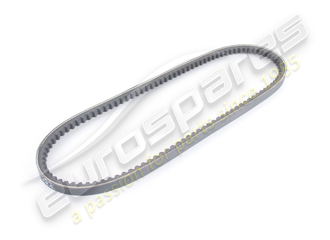 nueva correa de dirección asistida oe. número de parte 317837372 (1)