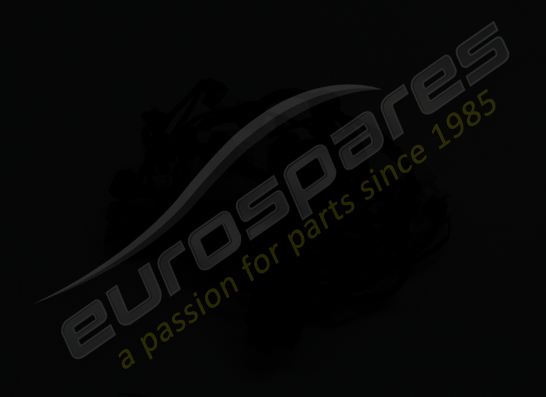 cable de puerta del lado del pasajero ferrari usado. número de parte 846150 (3)