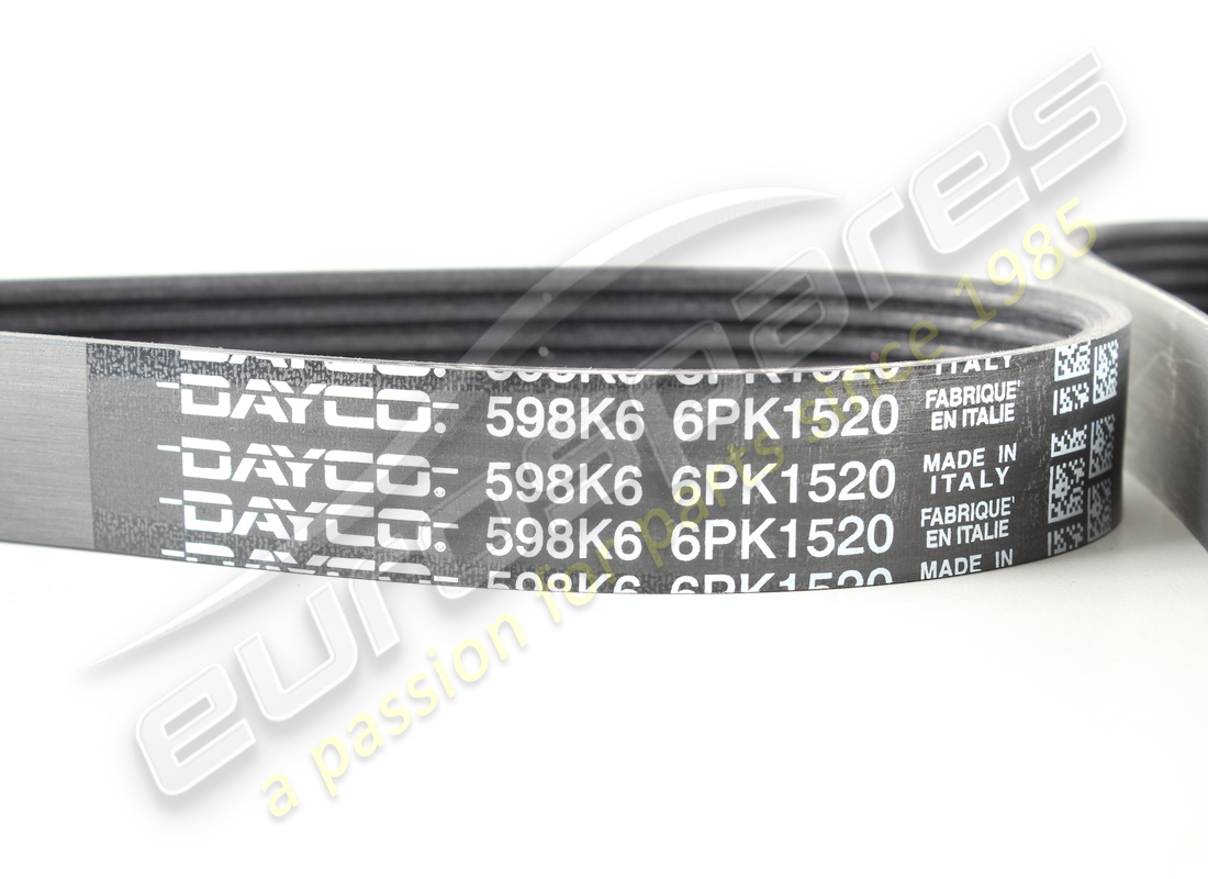 nuevo cinturón eurospares. número de parte 235315 (2)