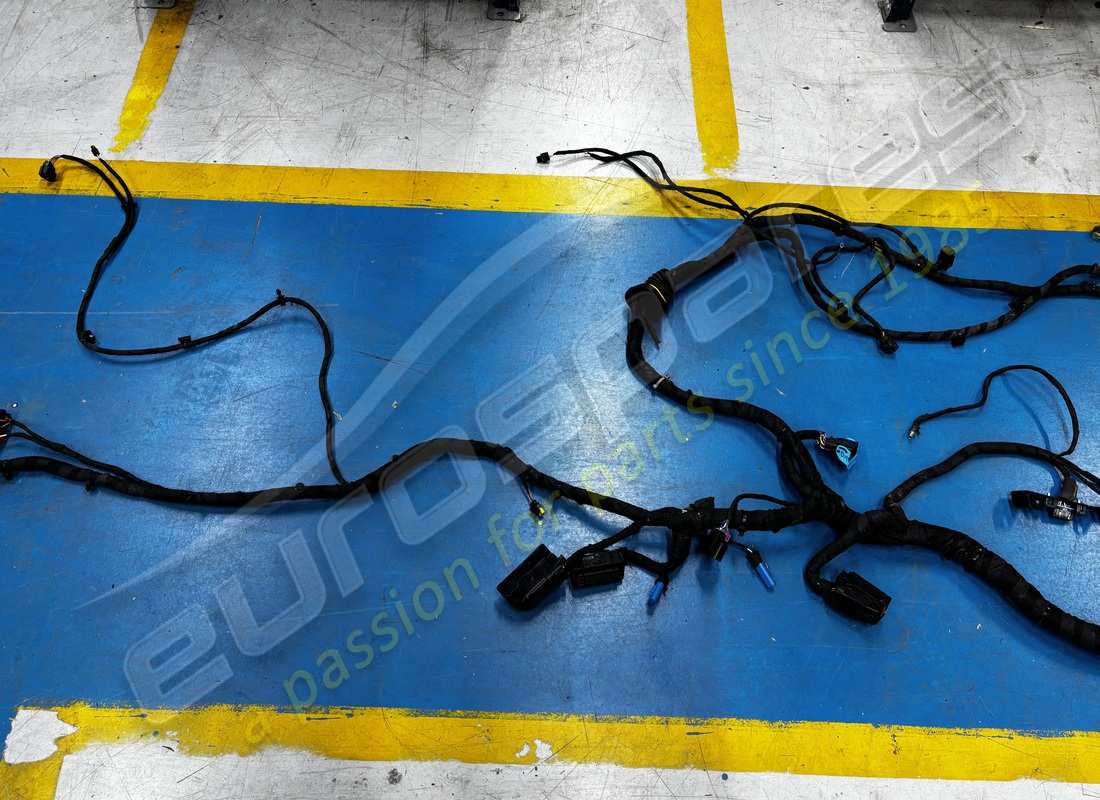 cable trasero dañado ferrari. número de pieza 338456 (3)