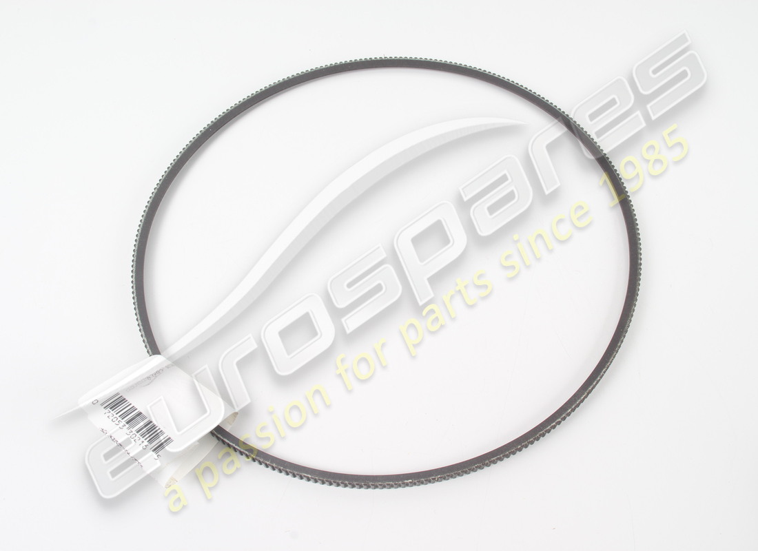 new ferrari alternator belt (7mm x 875). part number 300064 (1)