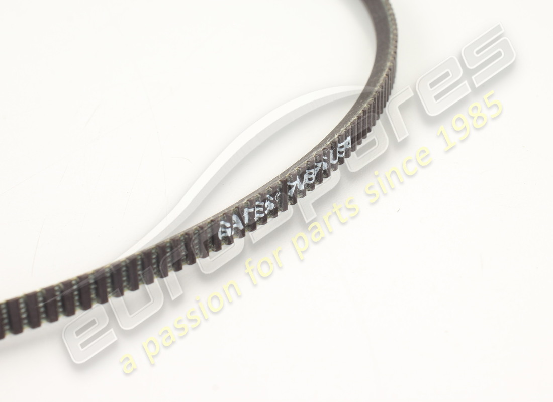new ferrari alternator belt (7mm x 875). part number 300064 (2)