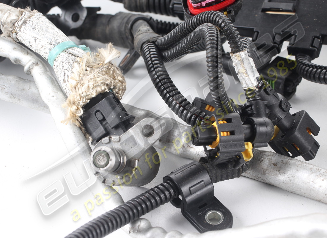 usado ferrari arnés de cableado de inyección. número de pieza 314807 (3)